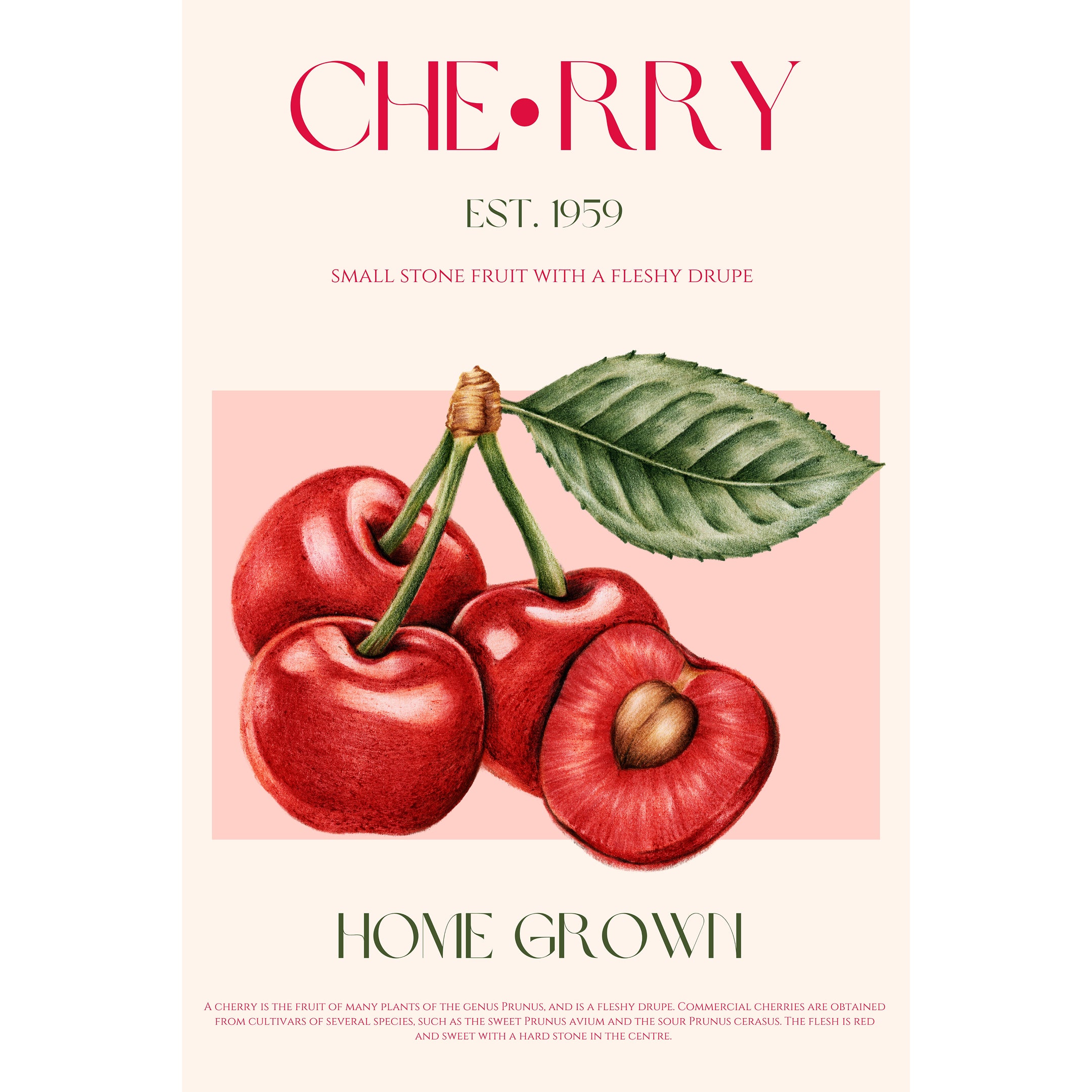 Sweet Red Cherries Print