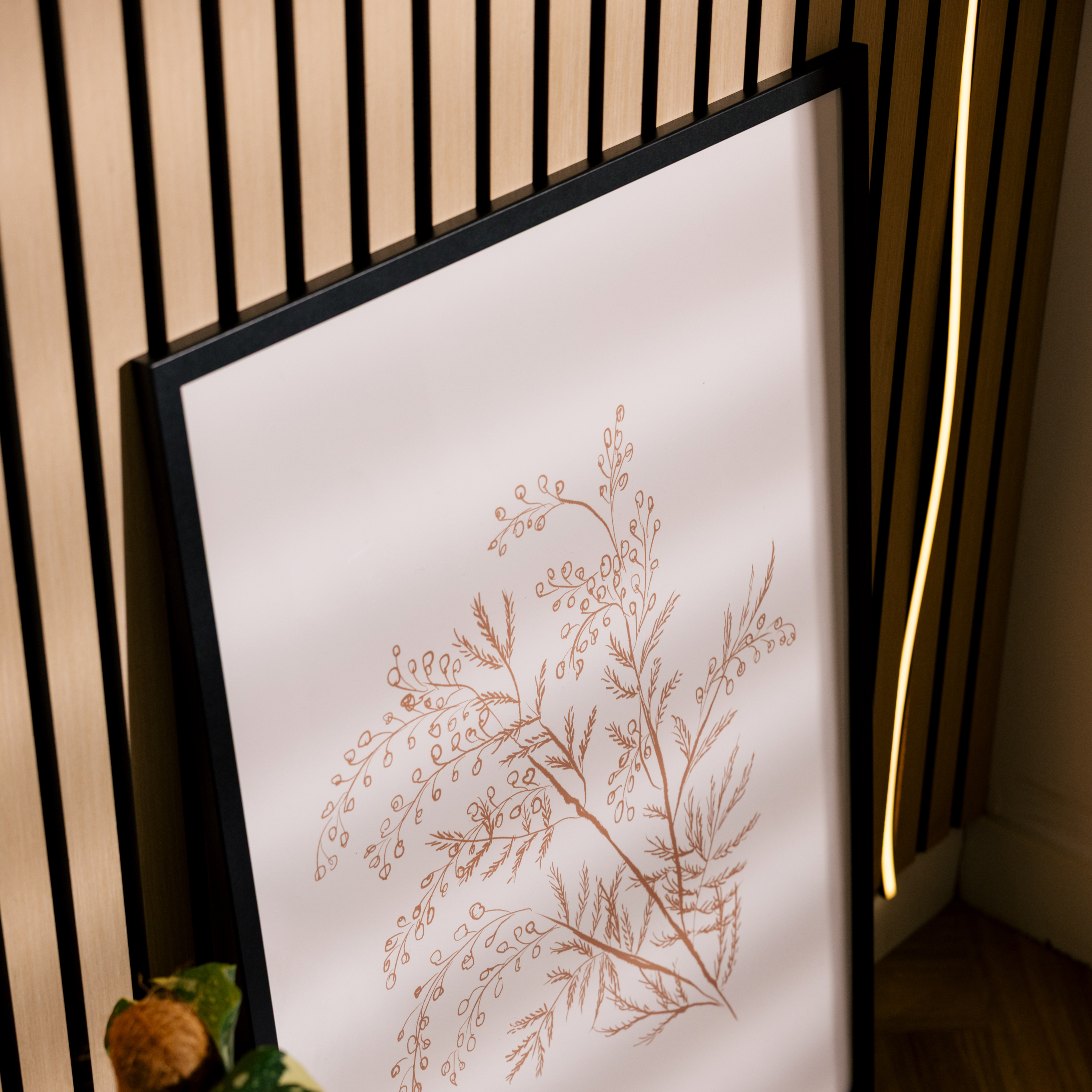 White Acacia Botanical Branch Print
